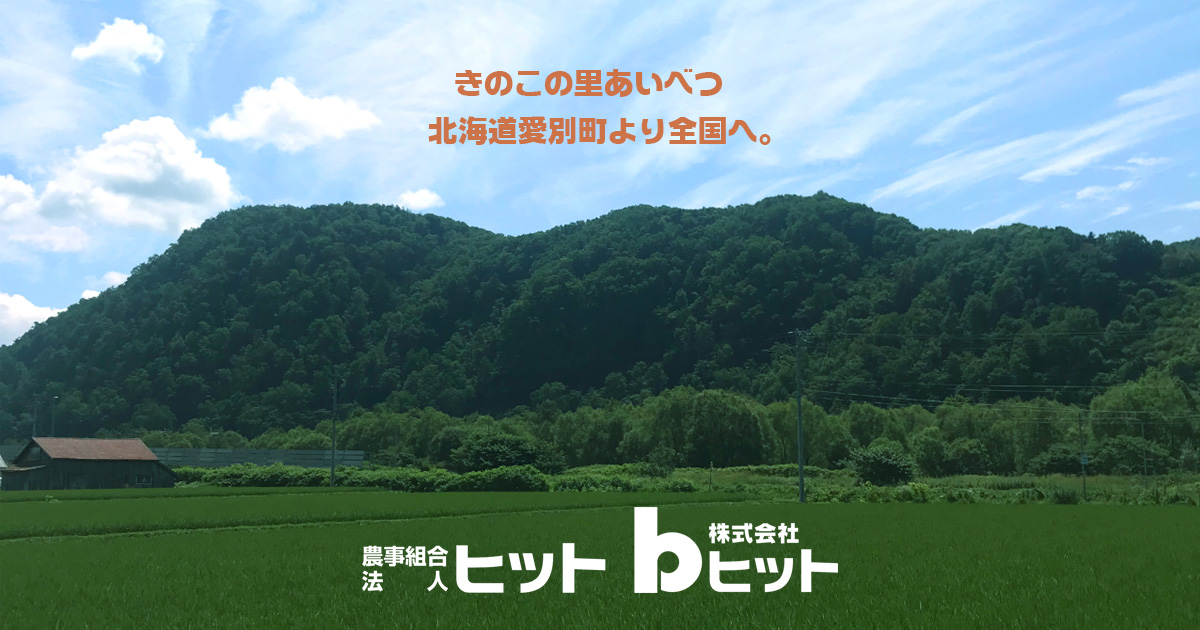 株式会社bヒットの写真(北海道愛別町)